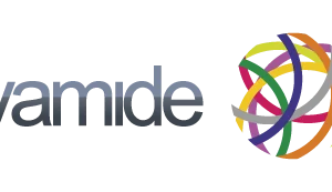 logo Vamide